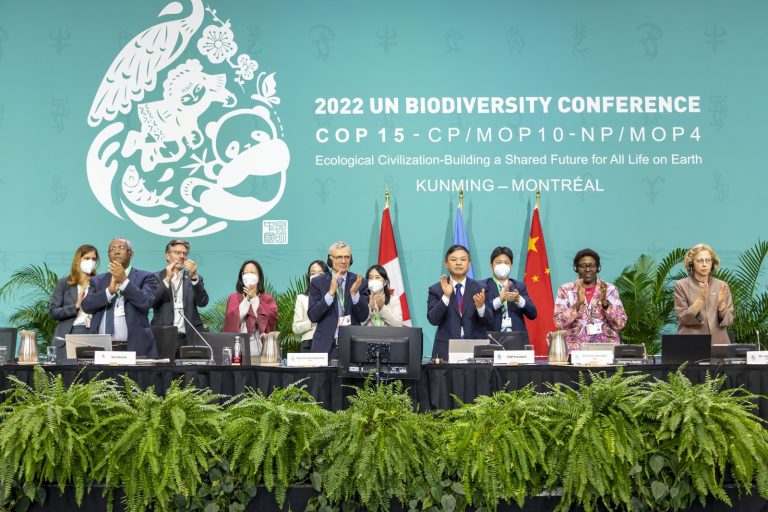 COP15 Adopts Kunming-Montreal Biodiversity Framework