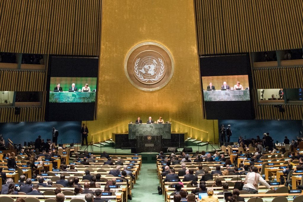 UN Finalizes High Seas Treaty for Marine Conservation