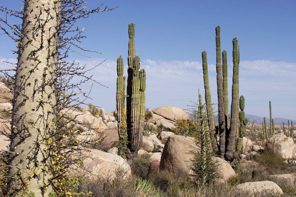 Mexican Authorities Find Bodies of 3 Missing Tourists