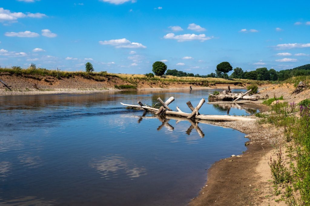 Nature Restoration Law