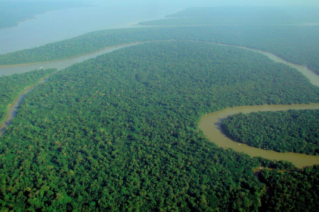 Amazon Rainforest Deforestation Rate Reaches Six-Year Low in Brazil
