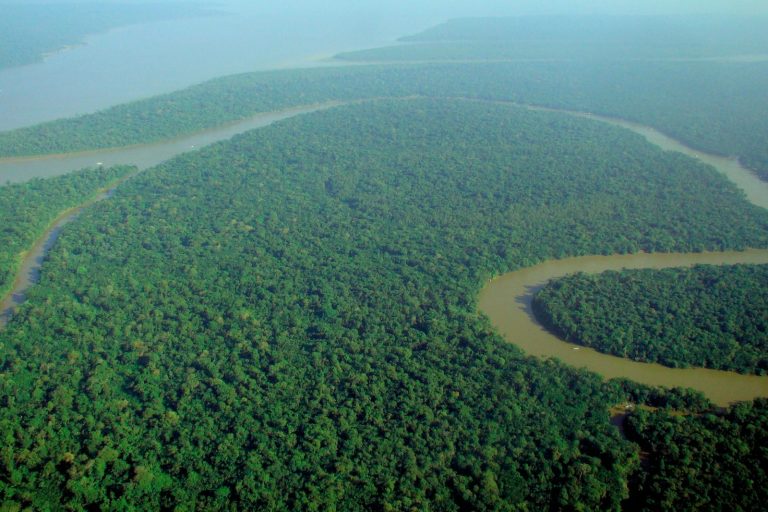 Amazon Rainforest Deforestation Rate Reaches Six-Year Low in Brazil