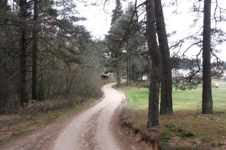 Four US Soldiers Missing in Lithuania Forest