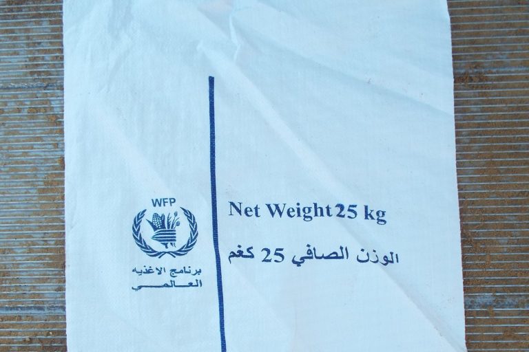 WFP Gaza Food Stocks Empty, Aid Kitchens to Run Out in Days