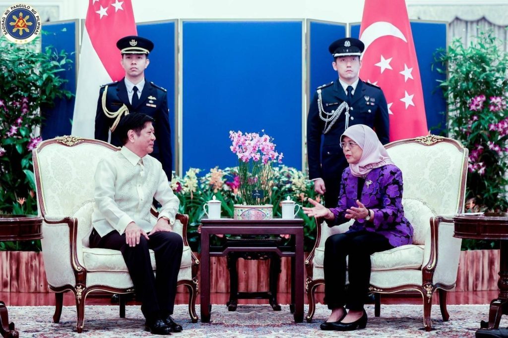 Singapores President: Fiscal Watchdog, Not Policy Driver