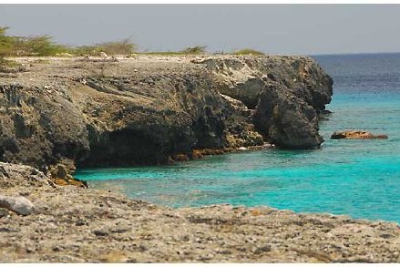 Dutch Government Ordered to Protect Bonaire from Climate Change Impacts