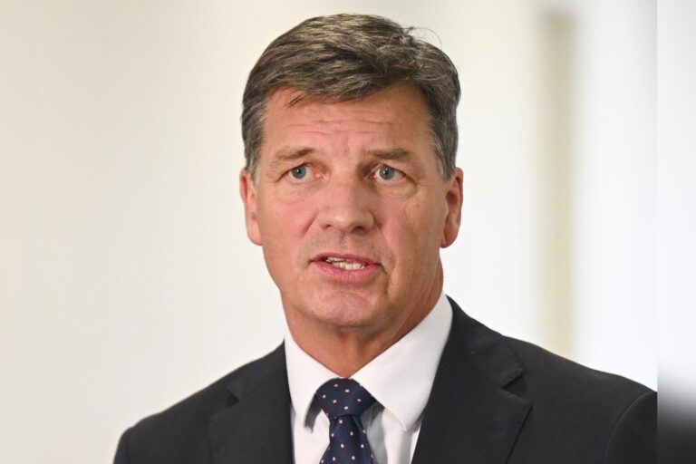 Liberal insiders question future of Opposition Leader Angus Taylor