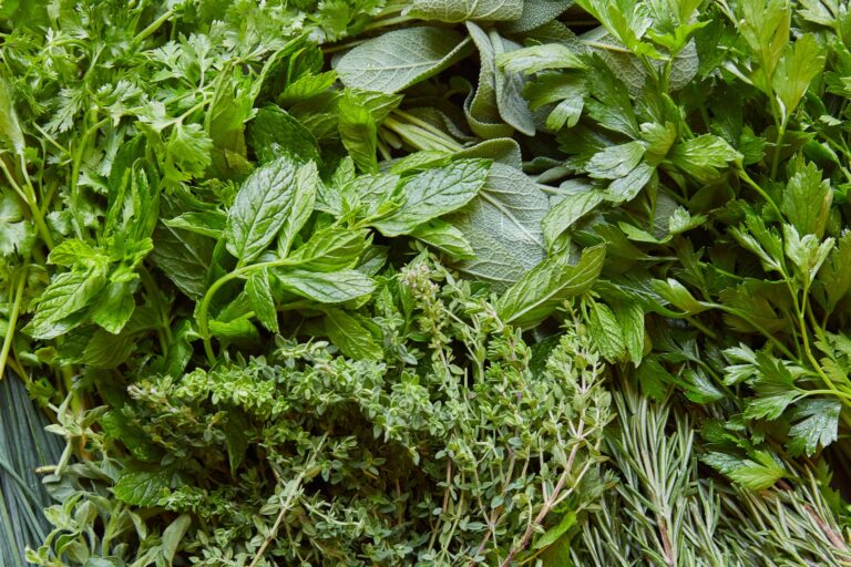 PureHealth Research Tracks Consumer Shift Toward Natural Nail Wellness Ingredients