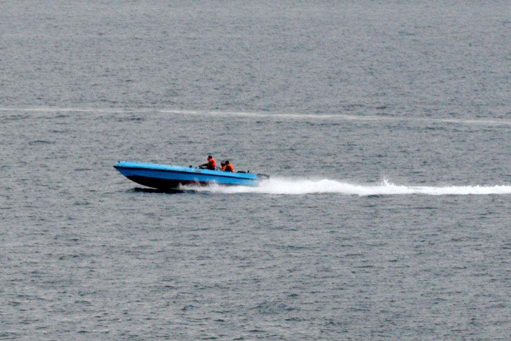 IRGC Navy and Regular Iranian Navy: Two Forces, Distinct Roles