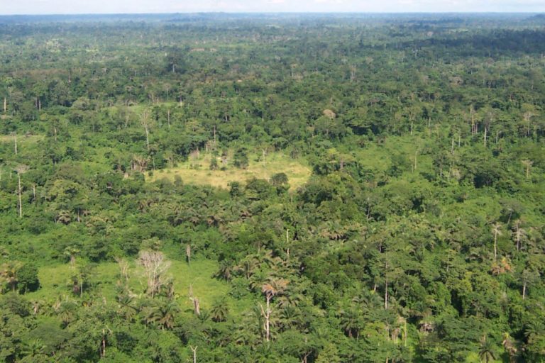 Liberia’s EPA Tackles Environmental Challenges with Data-Driven Mitigation
