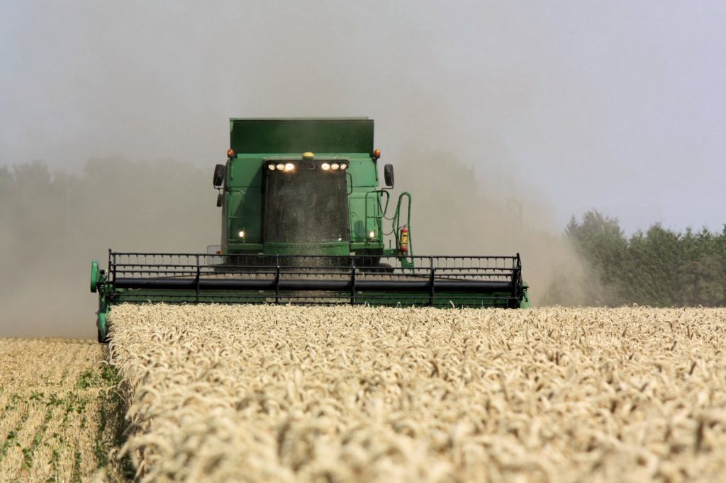 Ukrainian Strikes Disrupt Russian Grain Exports, Insurance