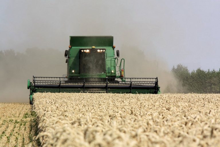 Ukrainian Strikes Disrupt Russian Grain Exports, Insurance