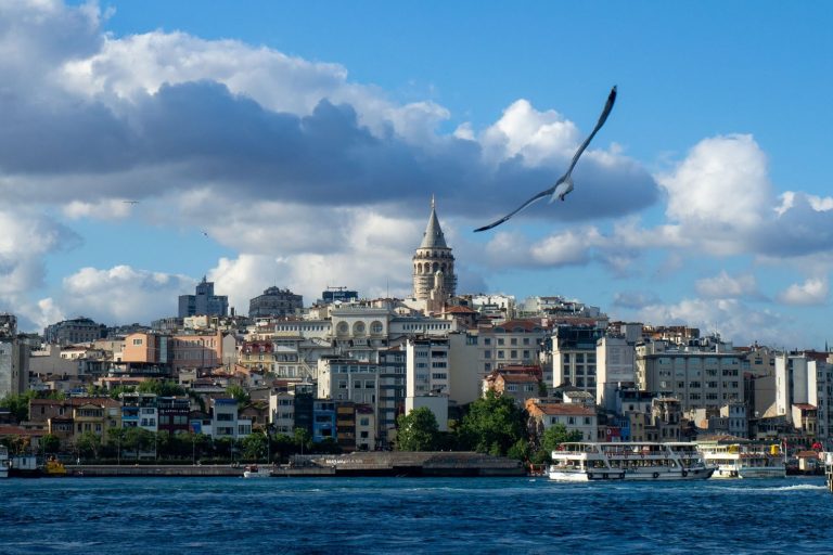 International Diplomatic Efforts: Istanbul to Saudi Arabia