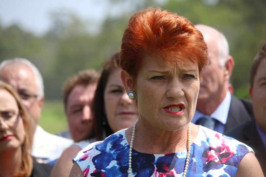 Hanson Warns Albanese and Chalmers Rhetoric Could Incite Political