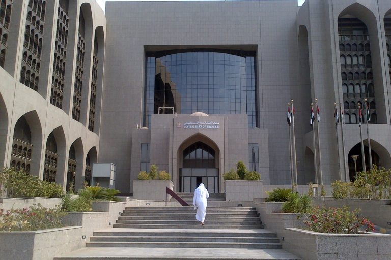 Egypt and UAE Central Banks Forge Dollar System Partnership Amid US