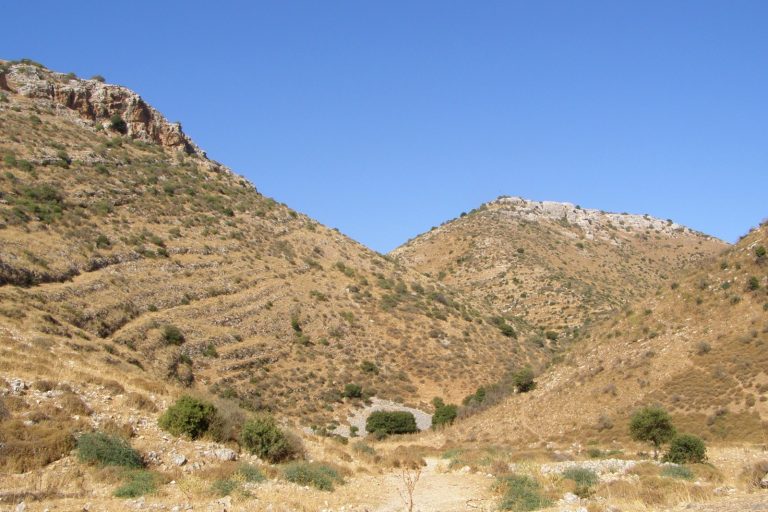 BBC Report Documents Israeli Military Presence in Southern Lebanon