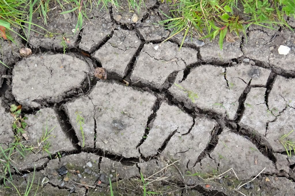 The US blocks a global agreement against drought
