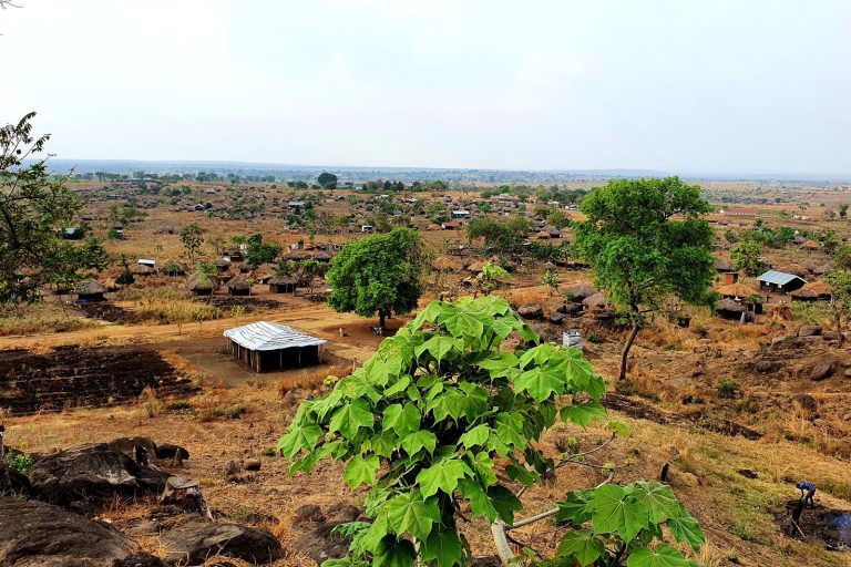 Africa’s Wars, Crises, and Disasters Reshape Global Order