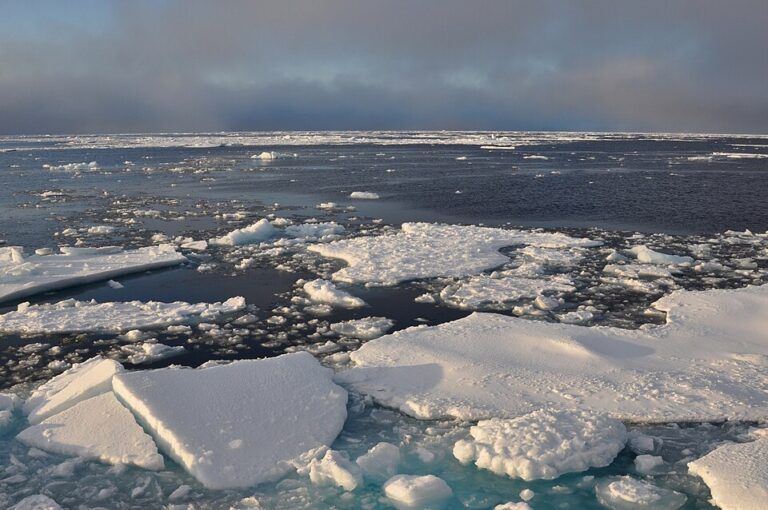 Russia Prioritizes Arctic for Strategic Military and Economic Gains