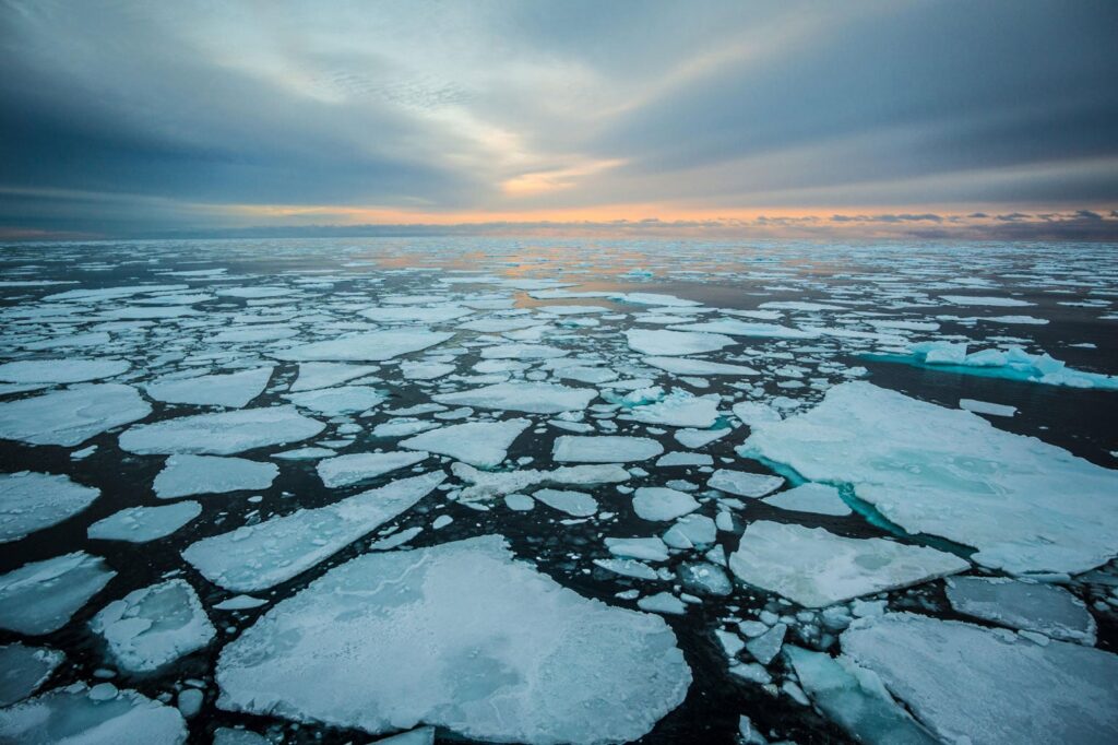 Arctic Ice