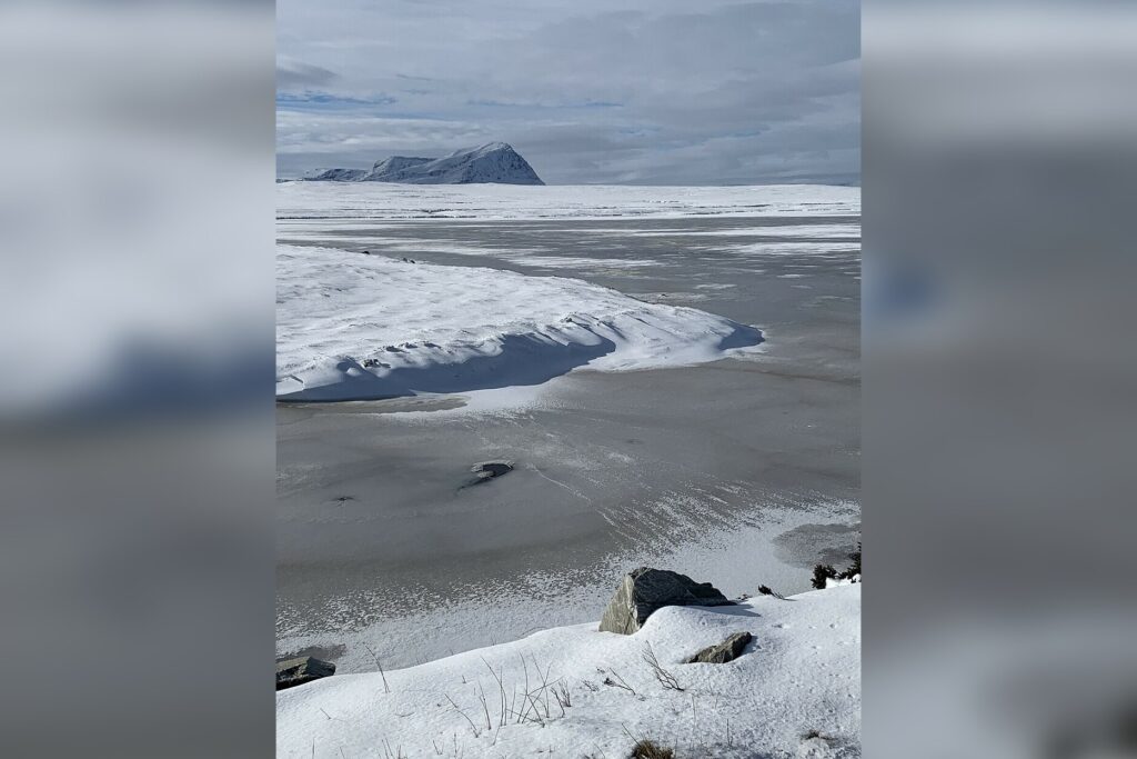 Arctic Landscape