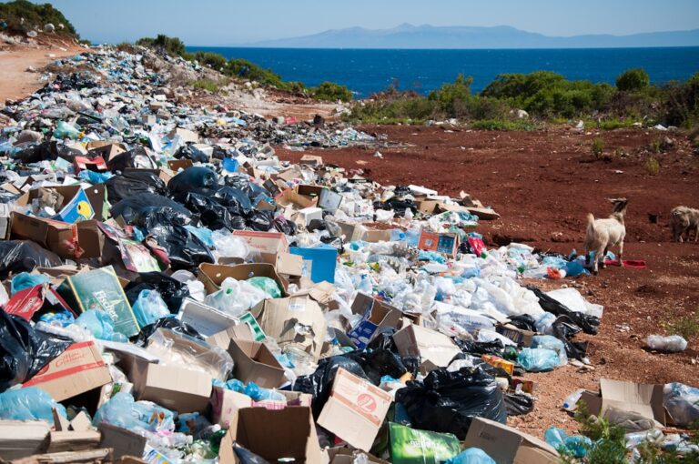 Global Plastic Pollution Treaty Talks Stall Despite Ongoing Negotiations Efforts