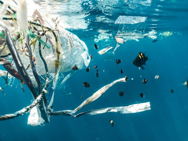 UN Plastics Treaty Stalls After Six Rounds of Talks