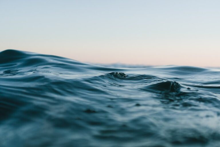 UN Adopts High Seas Treaty to Protect Ocean Beyond National Borders