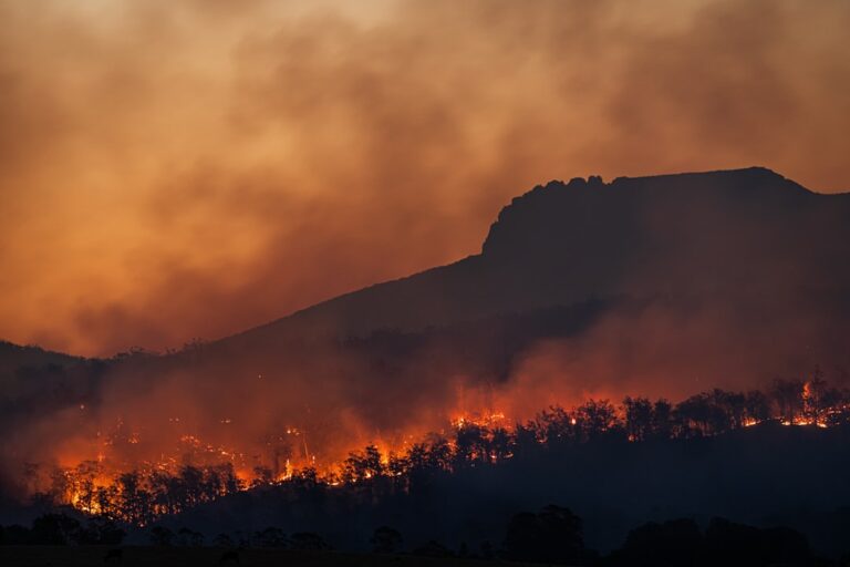 Arson Fire Engulfs Cyprus City of Limassol, Killing Two People Suddenly