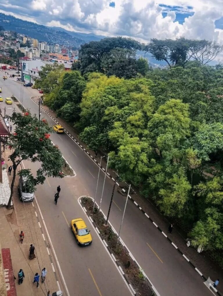 Bukavu Fire Kills 14 in Congo Dwelling Blaze