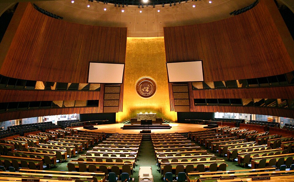 United Nations General Assembly
