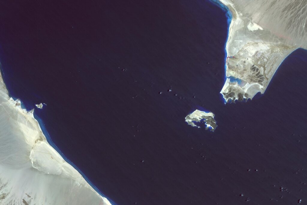 Houthi Arms and Training Fuel Ethiopia-Eritrea War to Control Red Sea Shores